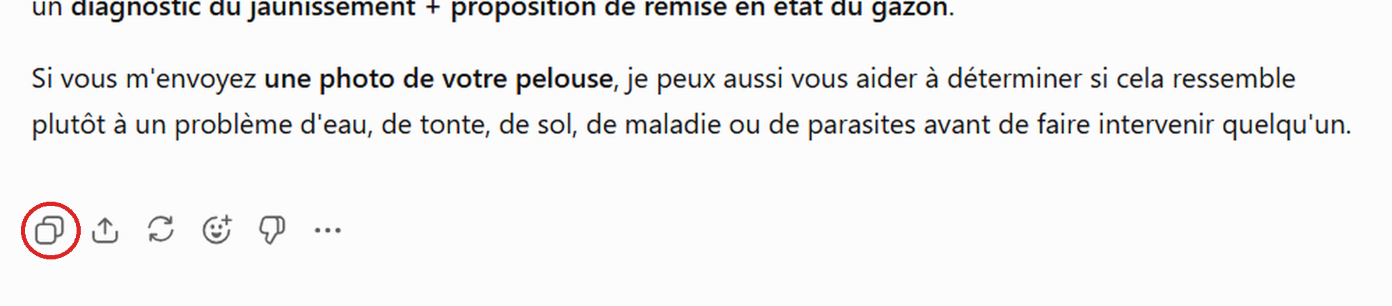 Barre d'icônes sous une réponse ChatGPT, avec le bouton Copier entouré en rouge